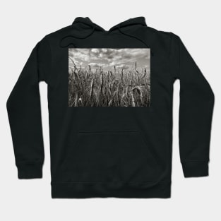 Dramatic Landscape Photography - Wheatfield in France Hoodie